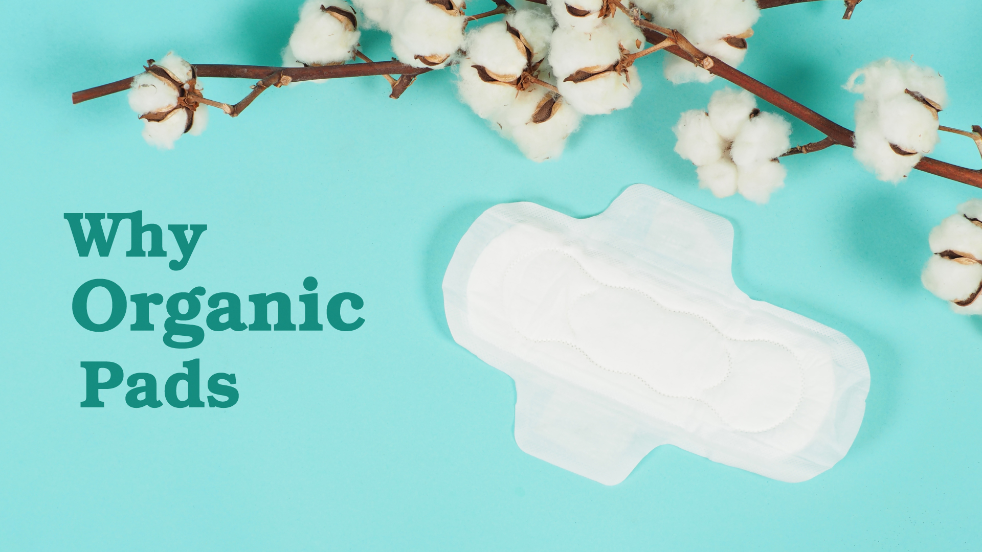  Organic Sanitary Pads: A Healthier Choice for Women & the Environment